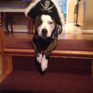 Meet your Posher, Sandy